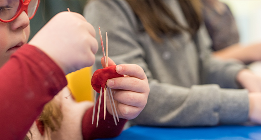 Educational programs